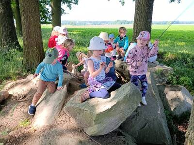 IMG_20250612_094523