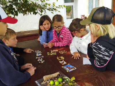 IMG_20250611_090616