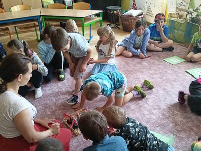 IMG20250612113342
