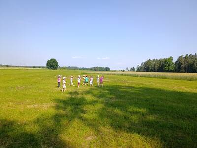 IMG_20250619_101634