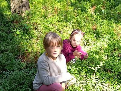 IMG_20250711_115710