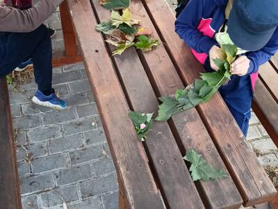 IMG20250912092730