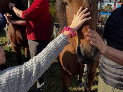 BE314B71-DB53-426C-B5A5-FFB426EFEAF0