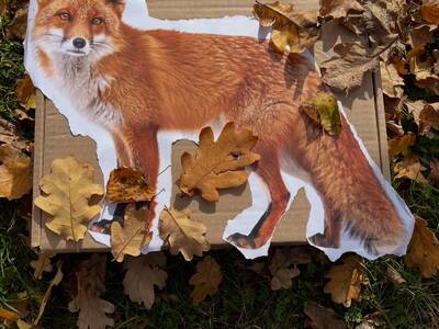 DDC24119-A907-4604-AA3B-4F32CB928476