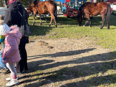 B6519072-EE2E-493F-8E37-3E2BB9DA0288