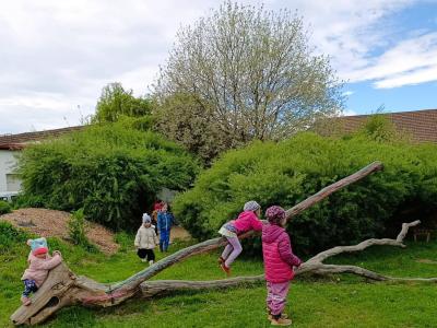 IMG_20260514_122311
