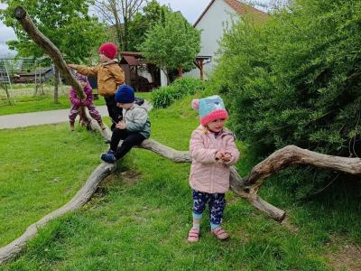 IMG_20260514_104947