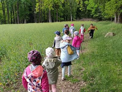 IMG_20260519_111847