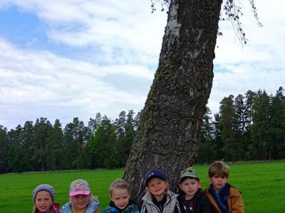 IMG_20260519_111801